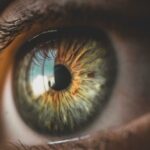 oeil en gros plan